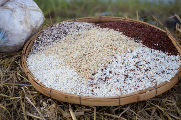 Thailand's Popular Thai Rice Varieties and Styles